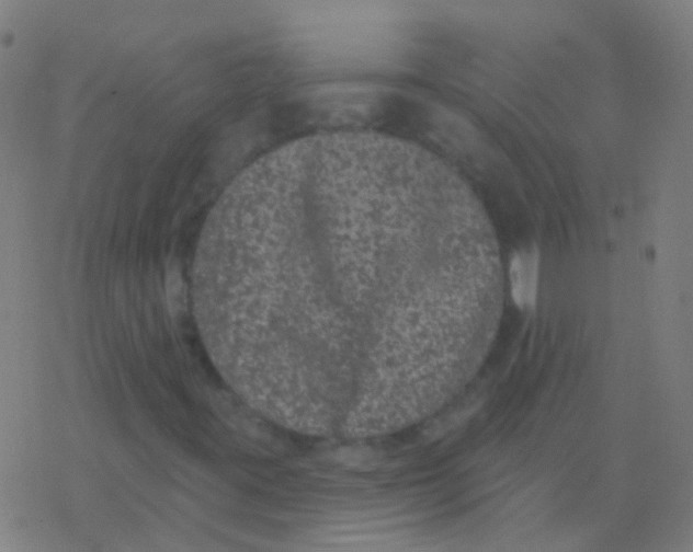 X0000077371395200611101652