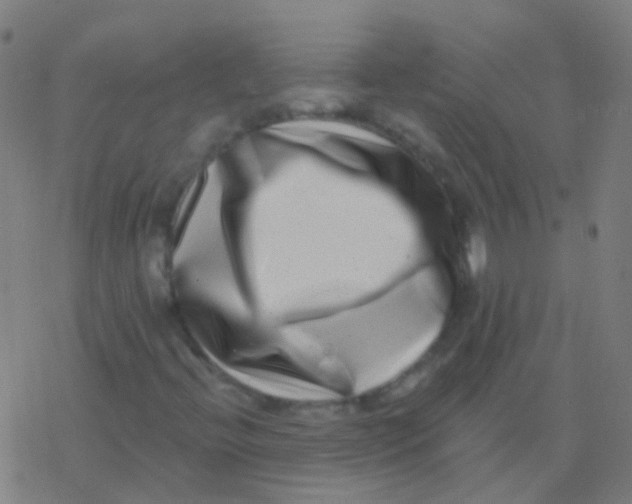 X0000077371396200611101652