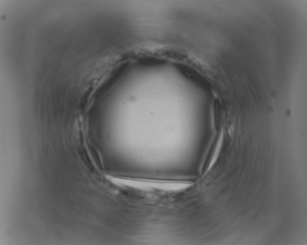 X0000077371397200611101652