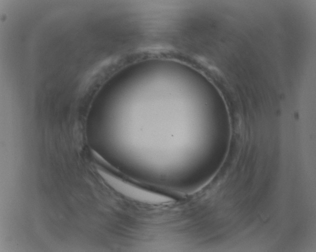 X0000077371398200611101652