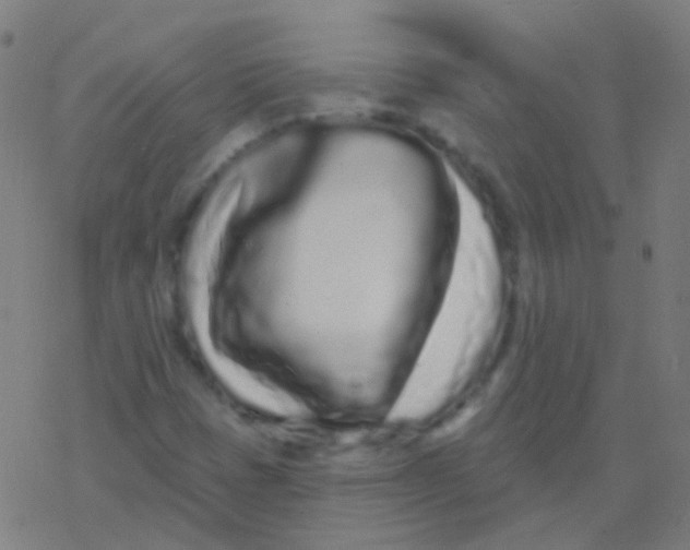 X0000077371401200611101652