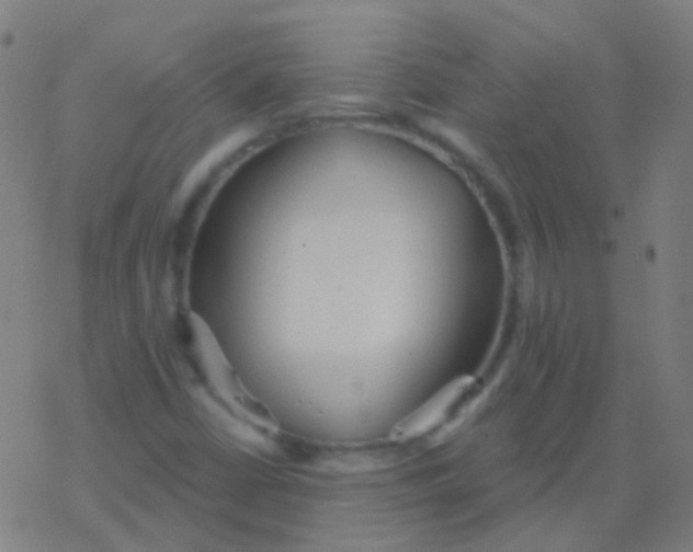 X0000077371402200611101652