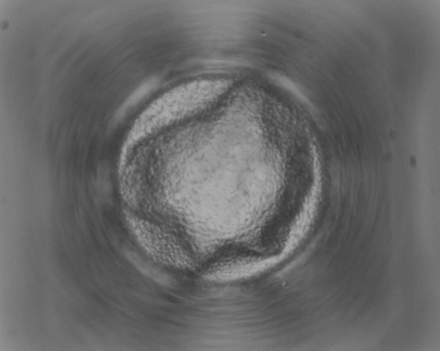 X0000077371403200611101652