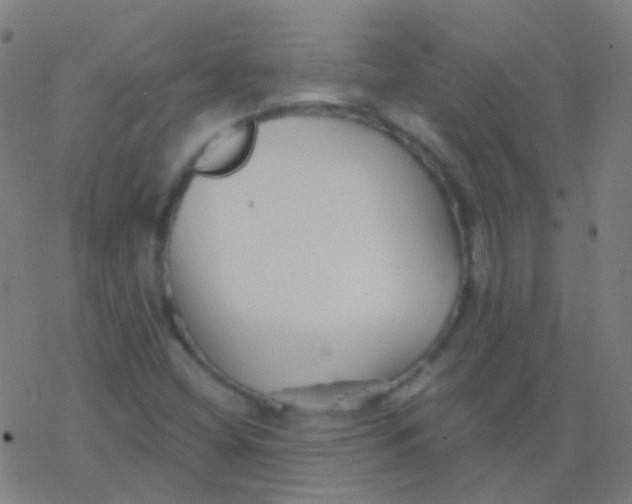 X0000077371404200611101652