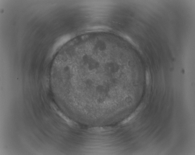 X0000077371405200611101652