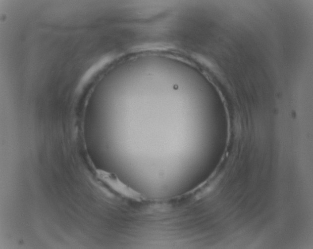 X0000077371406200611101652