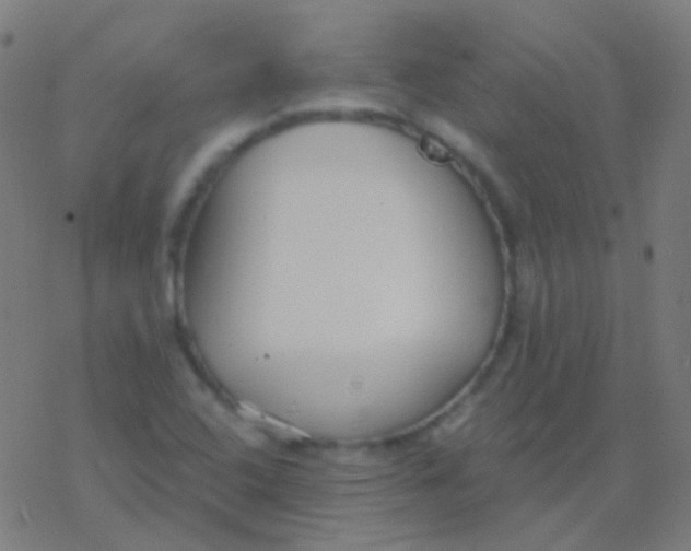 X0000077371408200611101652