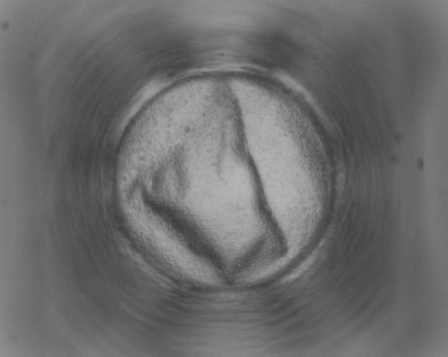 X0000077371409200611101652