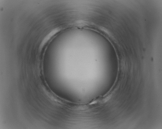 X0000077371410200611101652