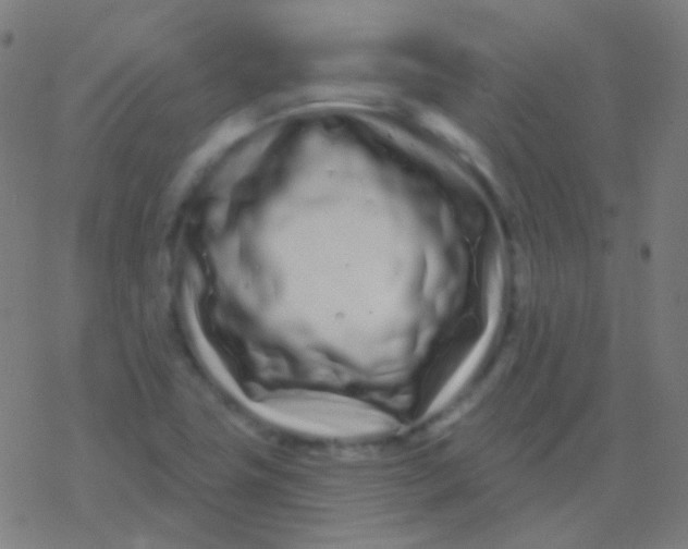 X0000077371411200611101653