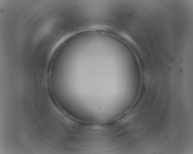 X0000077371412200611101653