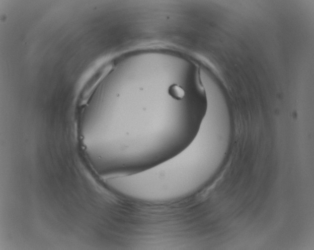 X0000077371414200611101653