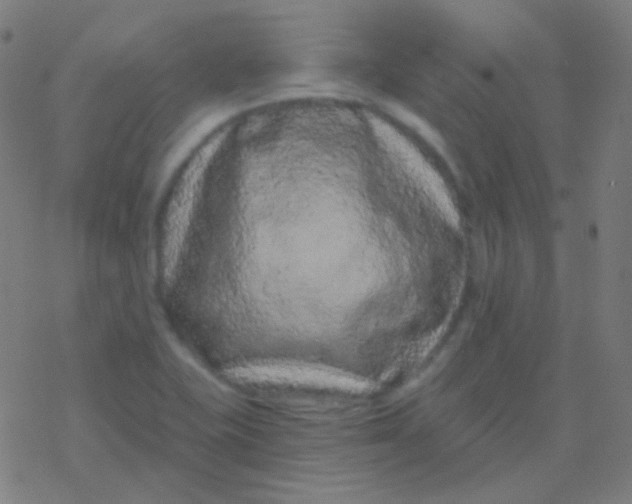 X0000077371415200611101653