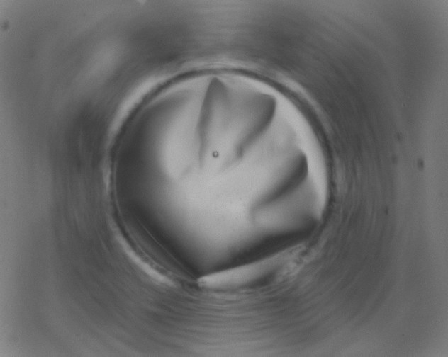 X0000077371416200611101653