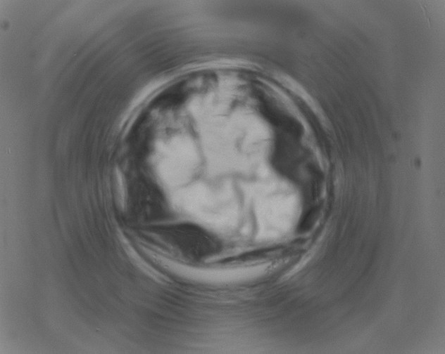 X0000077371417200611101653