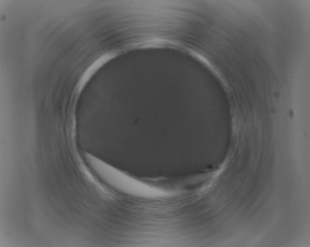 X0000077371418200611101653