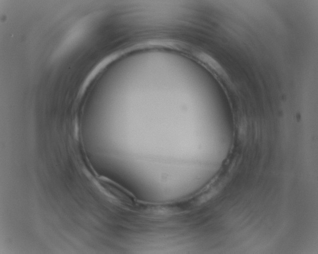 X0000077371420200611101653