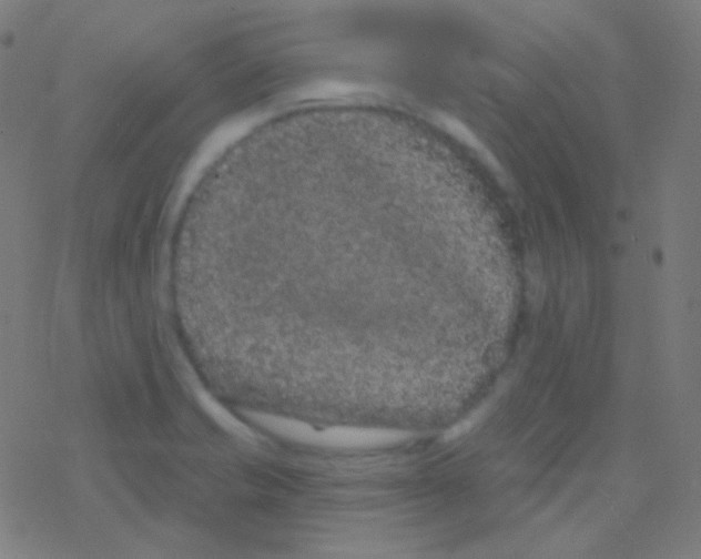 X0000077371421200611101653