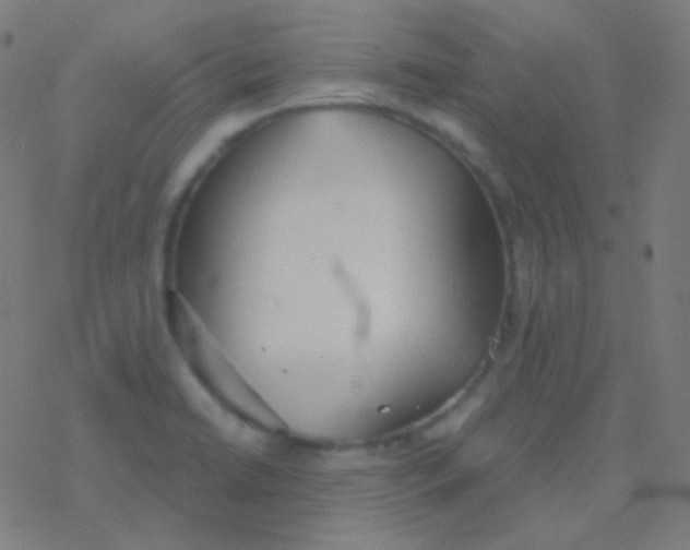 X0000077371422200611101653