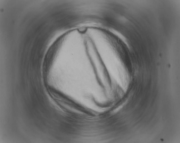 X0000077371423200611101653