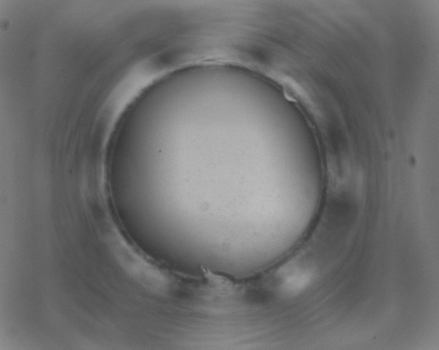 X0000077371424200611101653