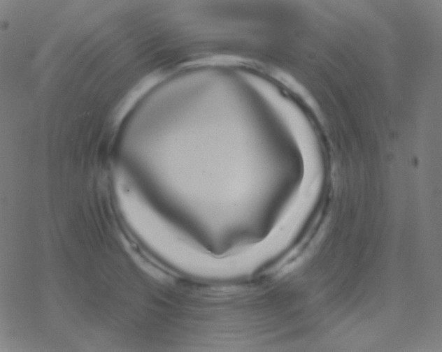 X0000077371425200611101653