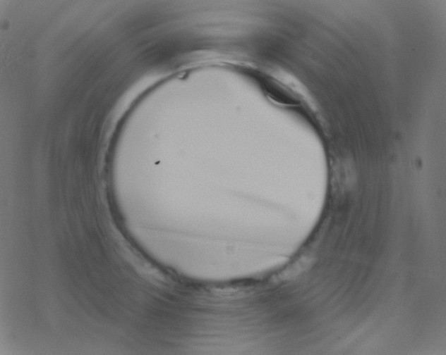 X0000077371427200611101653