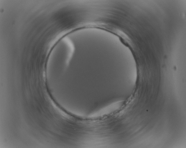 X0000077371428200611101653