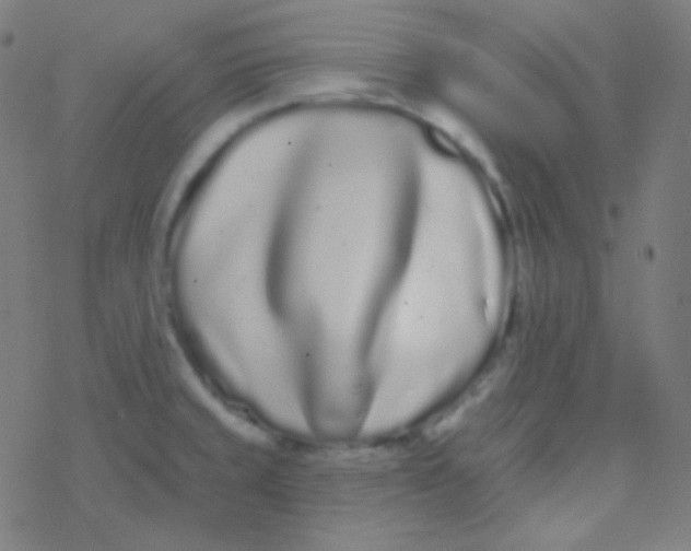 X0000077371429200611101653