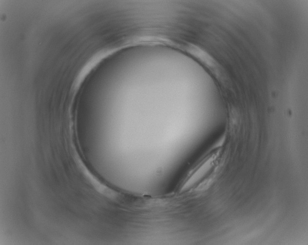 X0000077371430200611101653