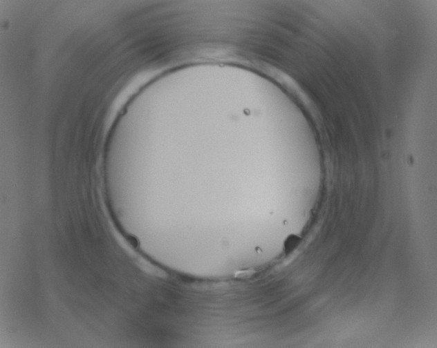 X0000077371432200611101653