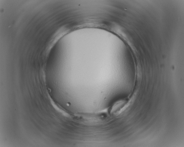 X0000077371433200611101653