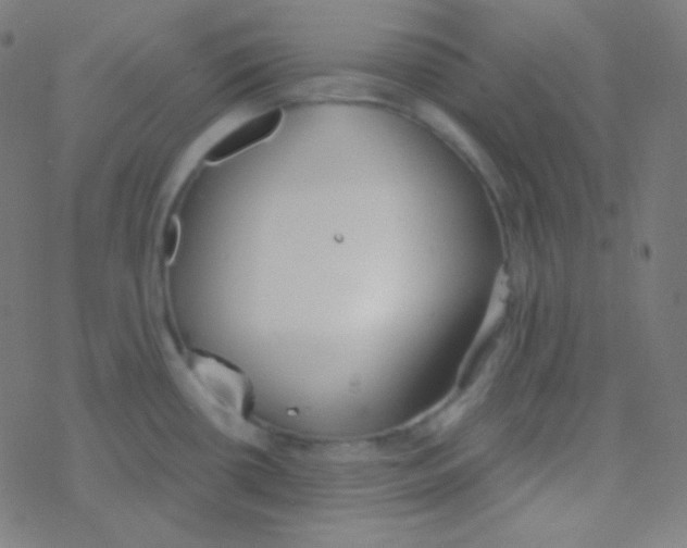 X0000077371434200611101653