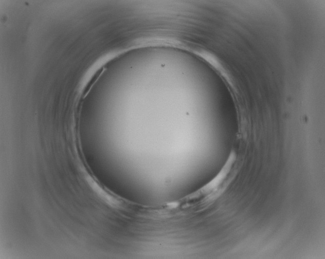 X0000077371438200611101653