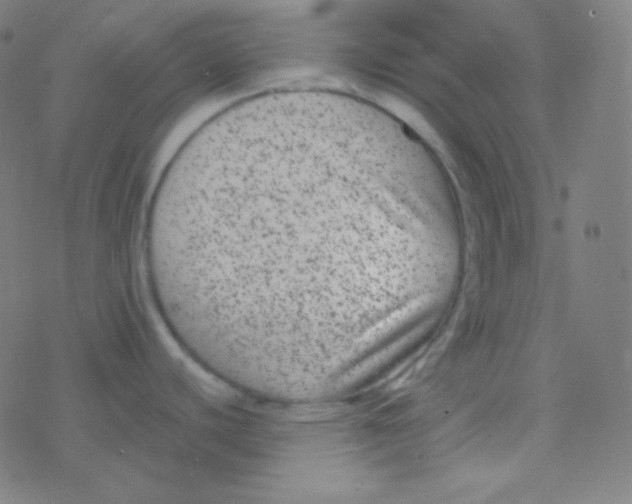 X0000077371440200611101653