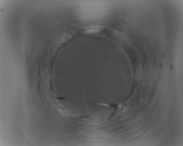 X0000077371441200611101652