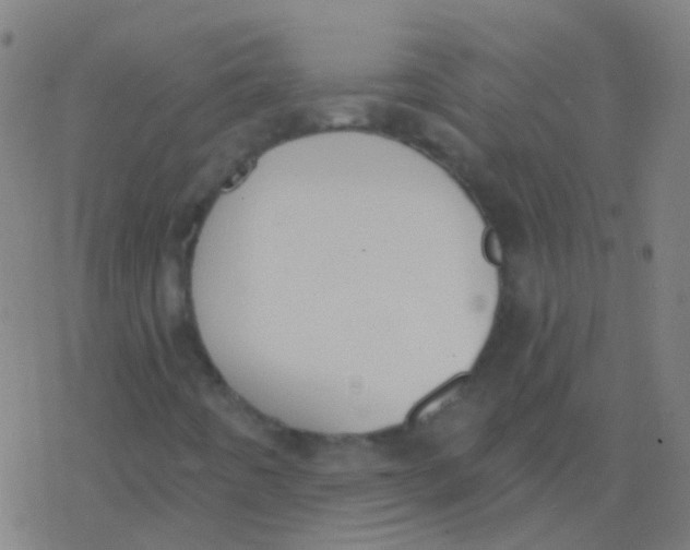 X0000077371442200611101652