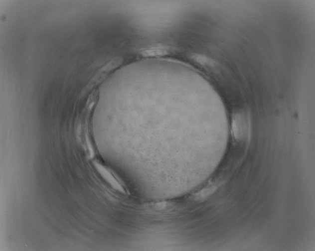 X0000077371444200611101652