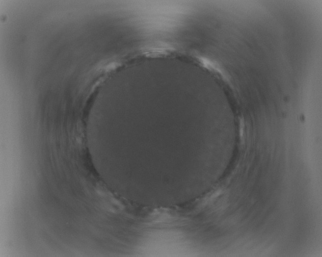 X0000077371445200611101652