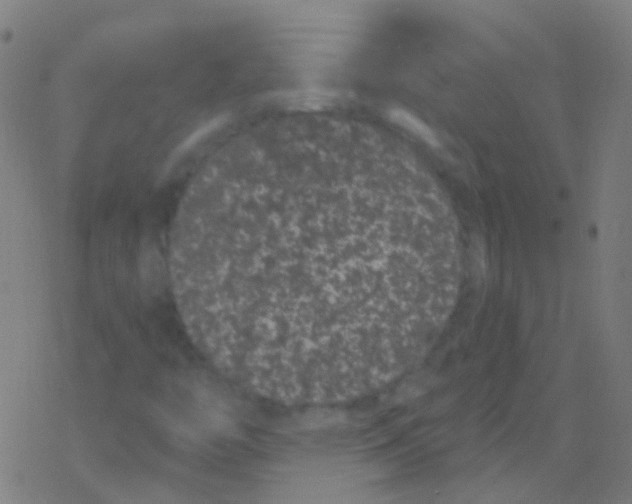 X0000077371446200611101652