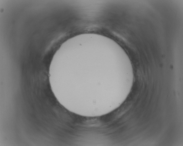 X0000077371447200611101652