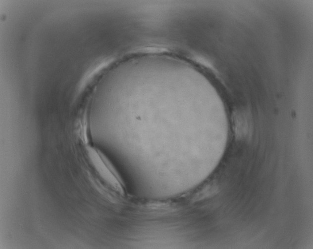 X0000077371448200611101652