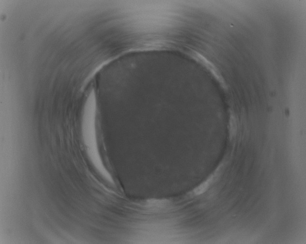 X0000077371449200611101652