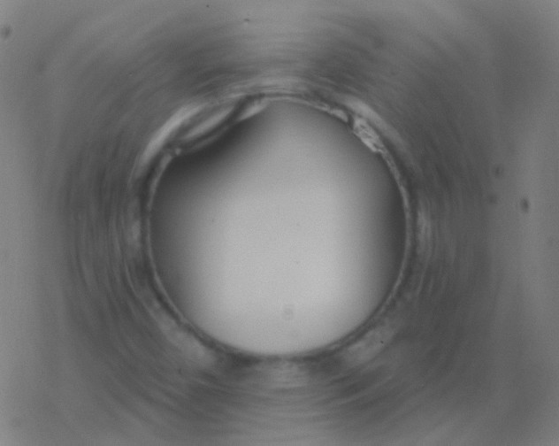 X0000077371450200611101652