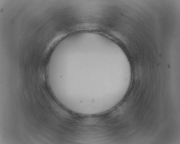 X0000077371451200611101652