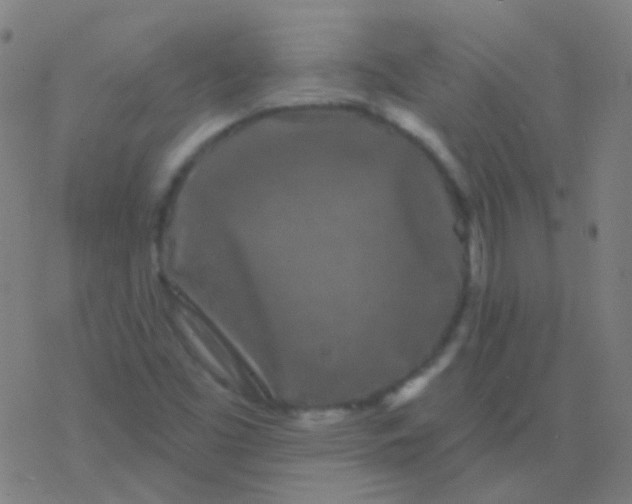 X0000077371453200611101652