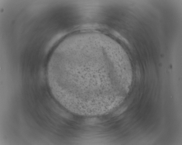 X0000077371454200611101652