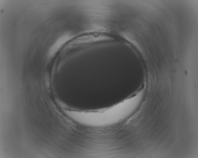 X0000077371455200611101652