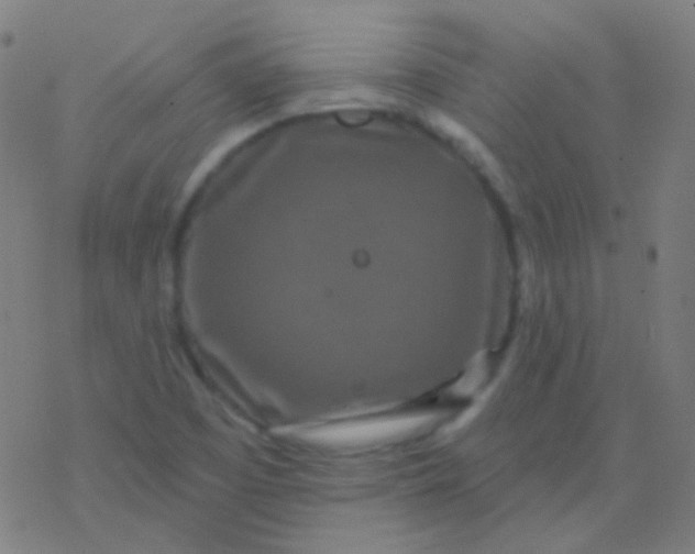 X0000077371457200611101652