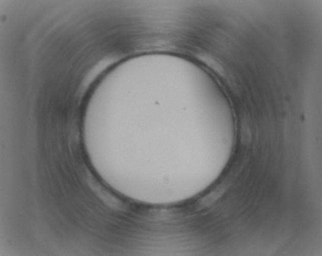 X0000077371458200611101652